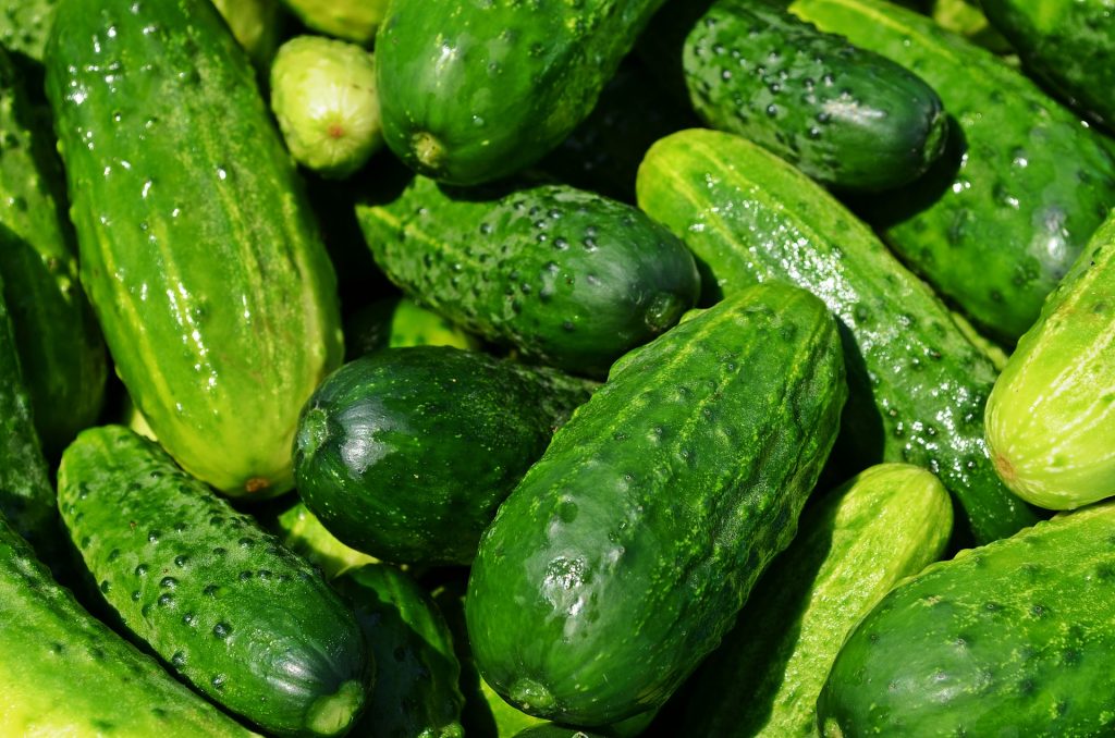10 Vegetables that are really fruits_cucumber