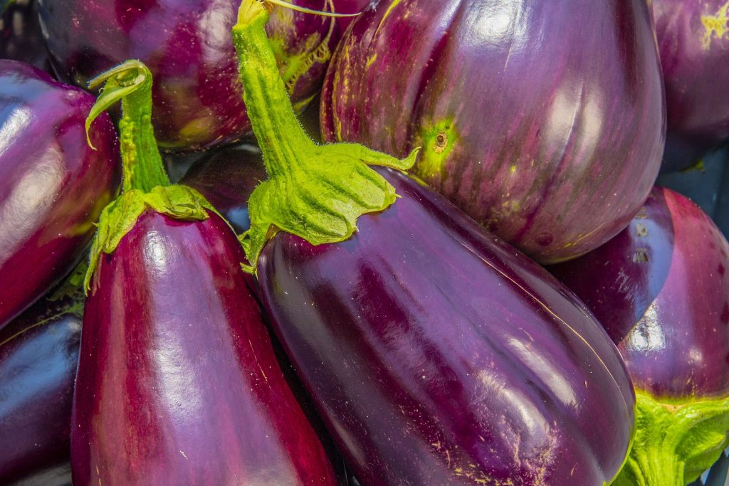 10 Vegetables that are really fruits_eggplant