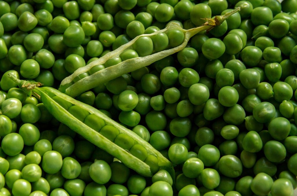 10 Vegetables that are really fruits_peas