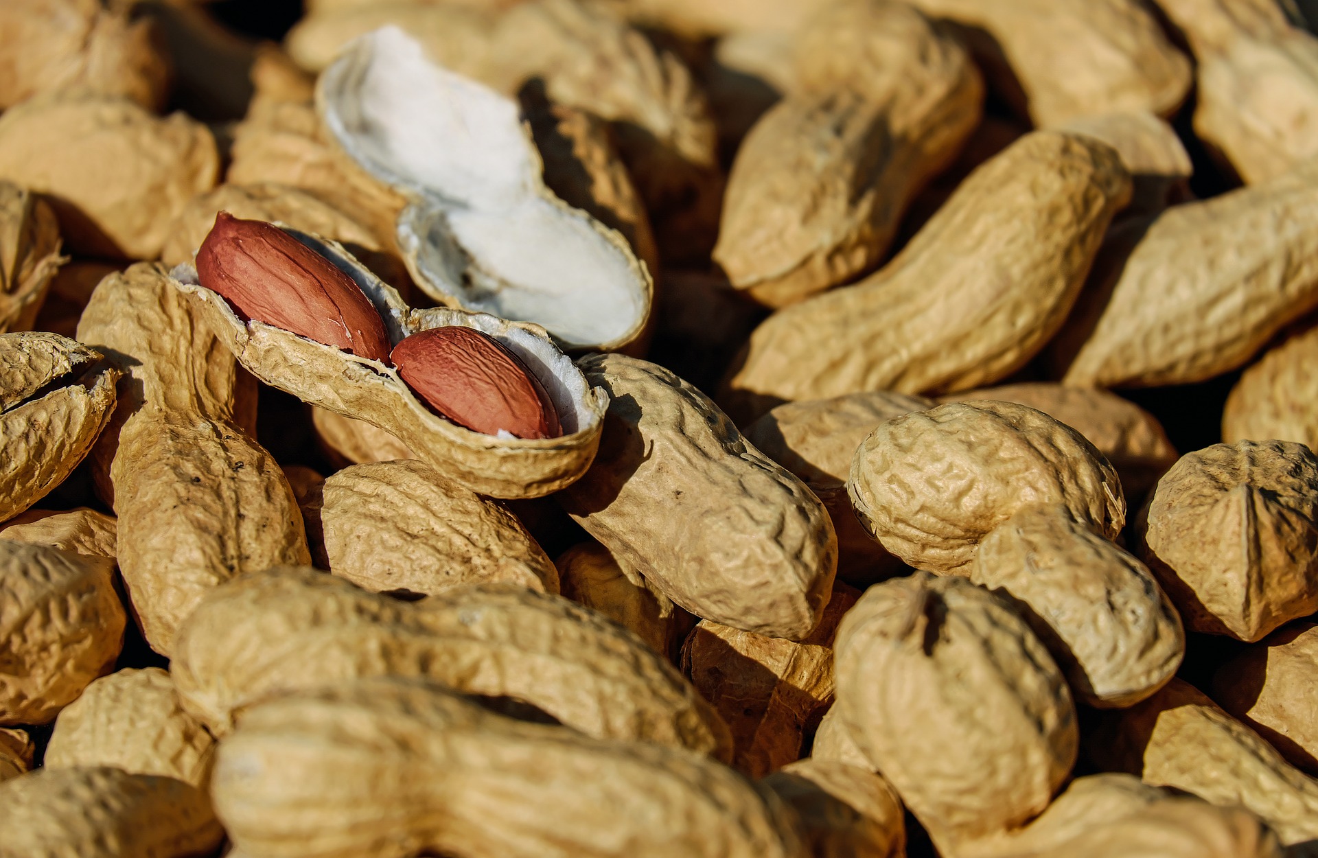 10 foods that aren't what you think they are_peanuts