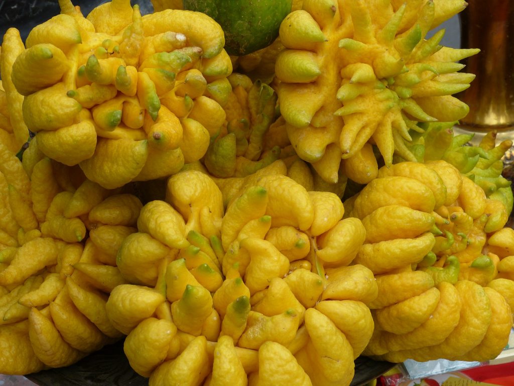 10 unusual fruits you've probably never tried before_buddhashand