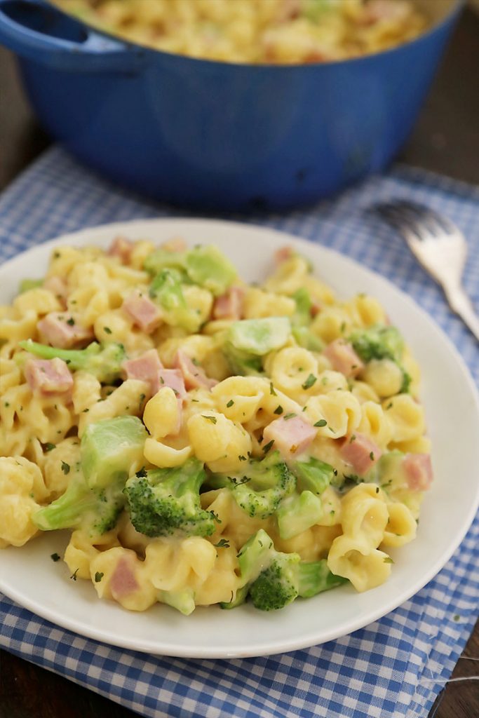 Ham and broccoli shells and cheese