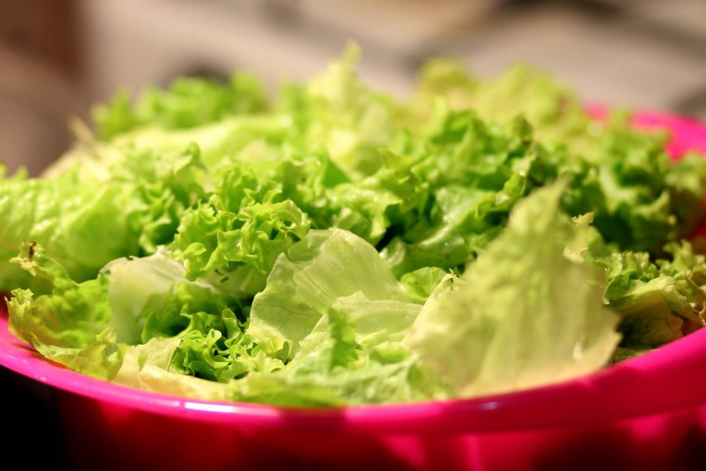 12 foods you should definitely not serve at your cookout_lettuce