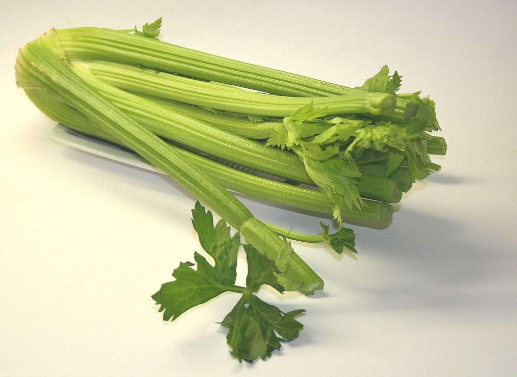 7 Hydrating foods to add to your diet this summer_celery
