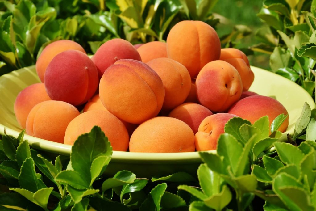 All the produce in season in July_apricots