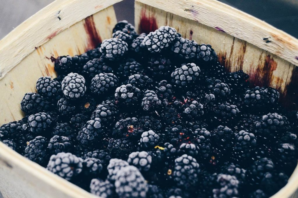 All the produce in season in July_blackberries