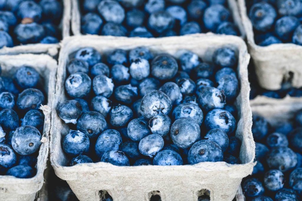 All the produce in season in July_blueberries