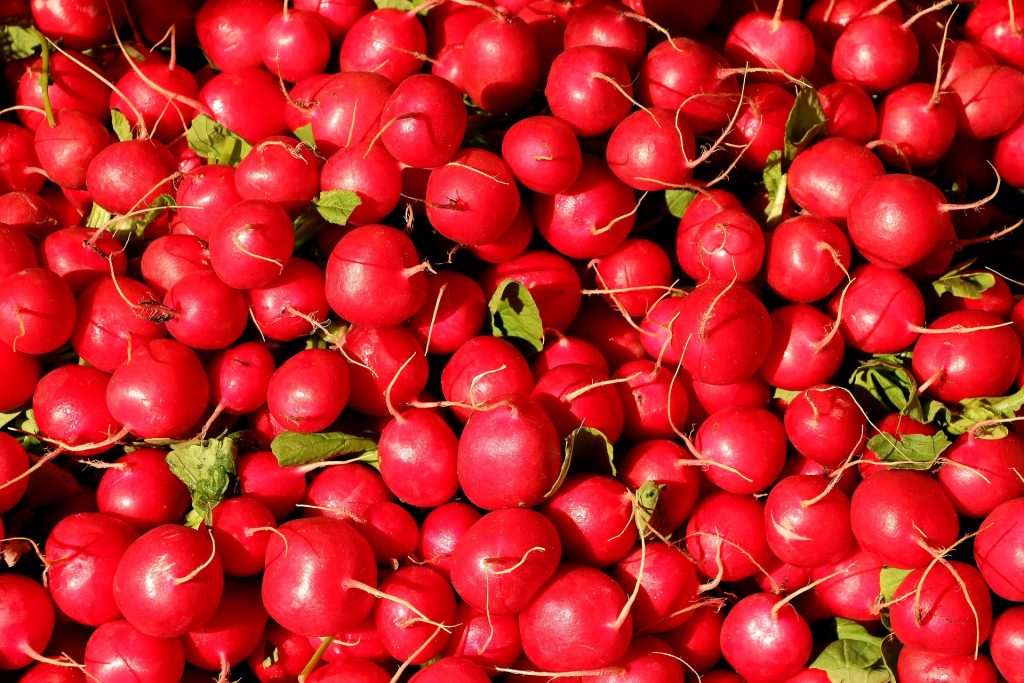 April produce guide What's in season_radishes