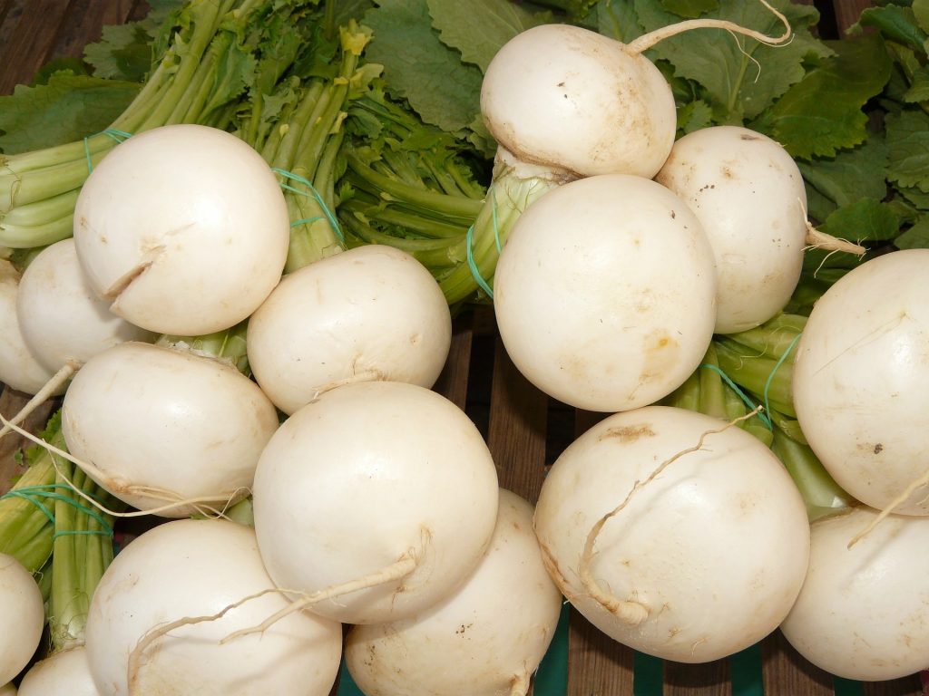 November produce What's in season - turnip