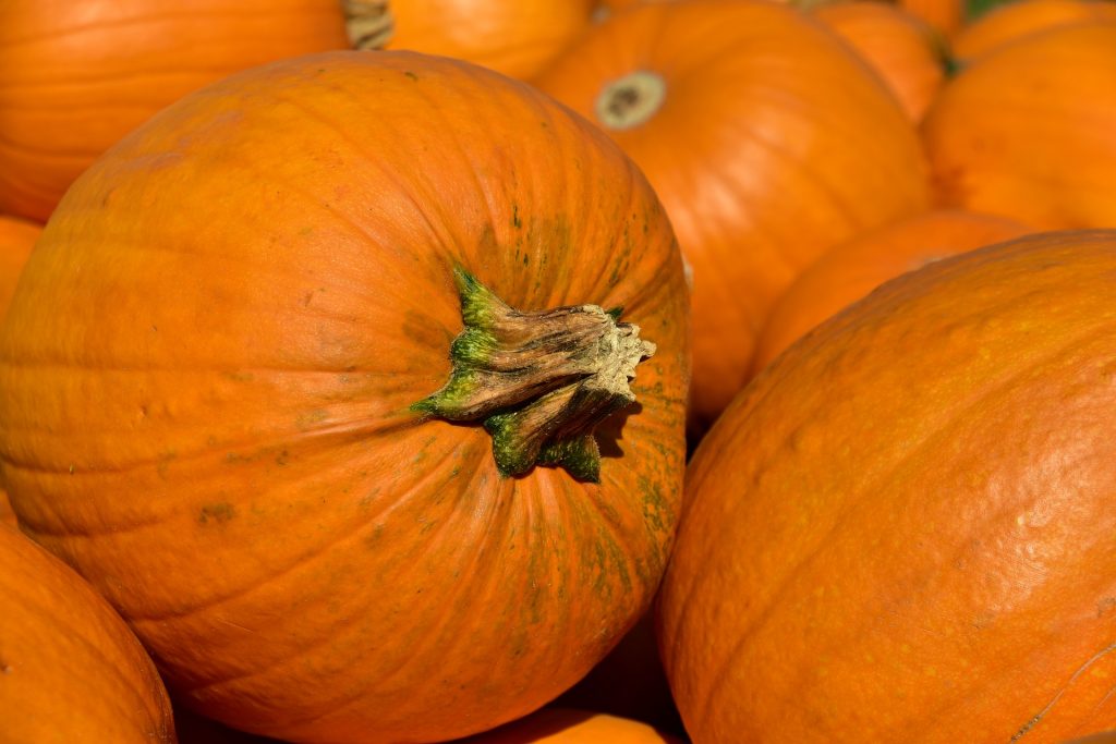 What produce is in season in September?_pumpkin