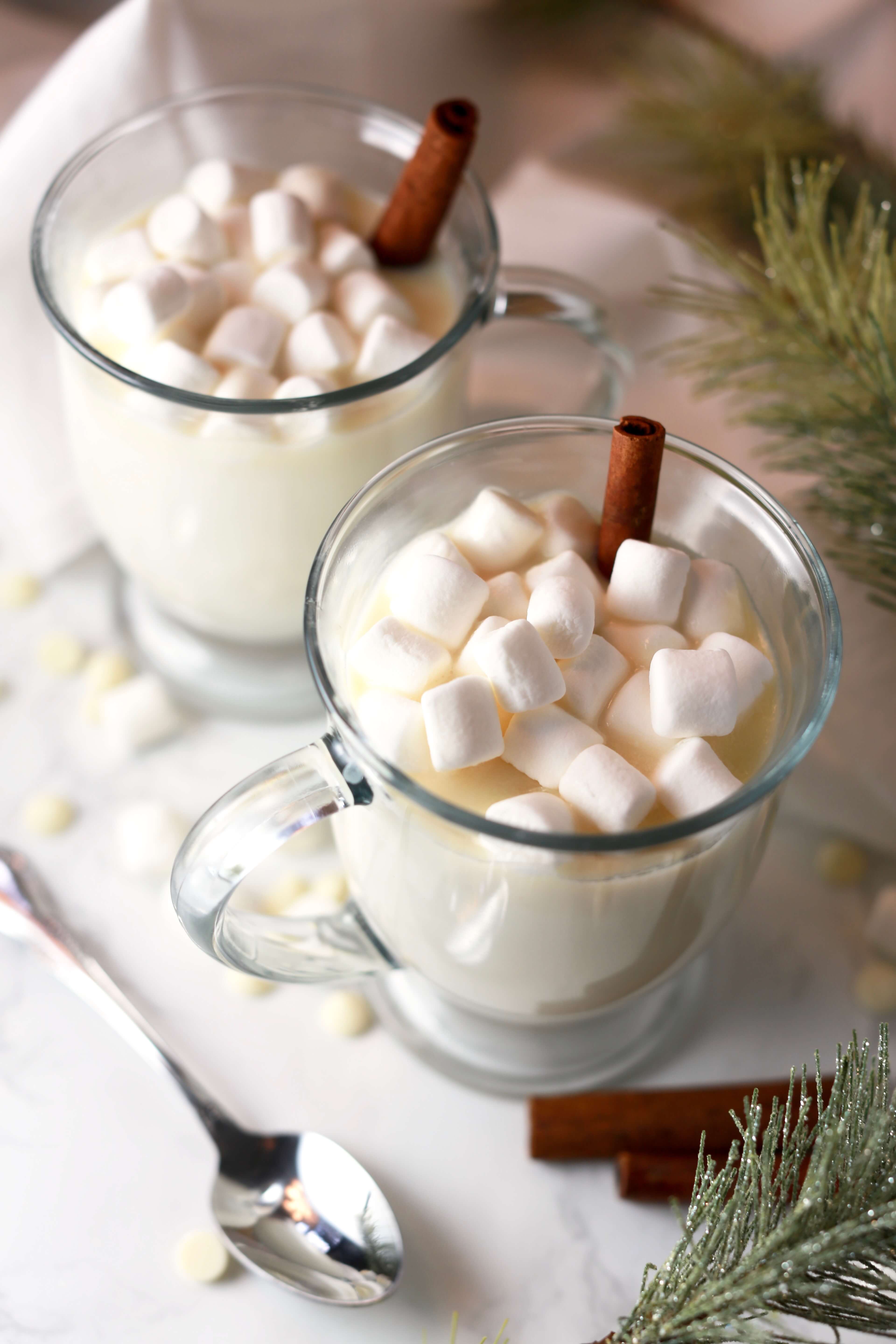 Winter white hot chocolate with cinnamon_3