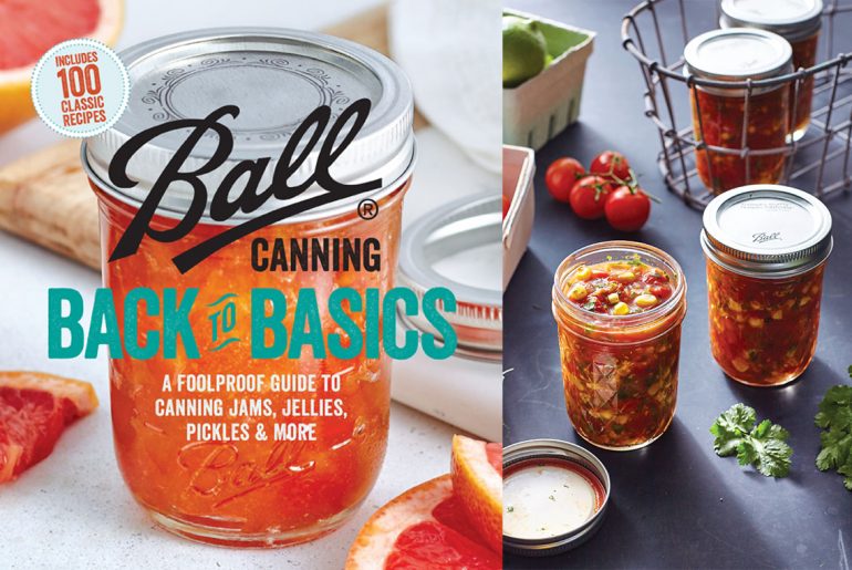 Book Review: canning goes back to basics for beginners by Everybody Craves