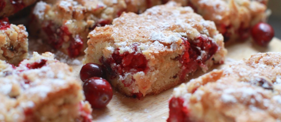Blissful Cranberry bars are a festive, tart treat
