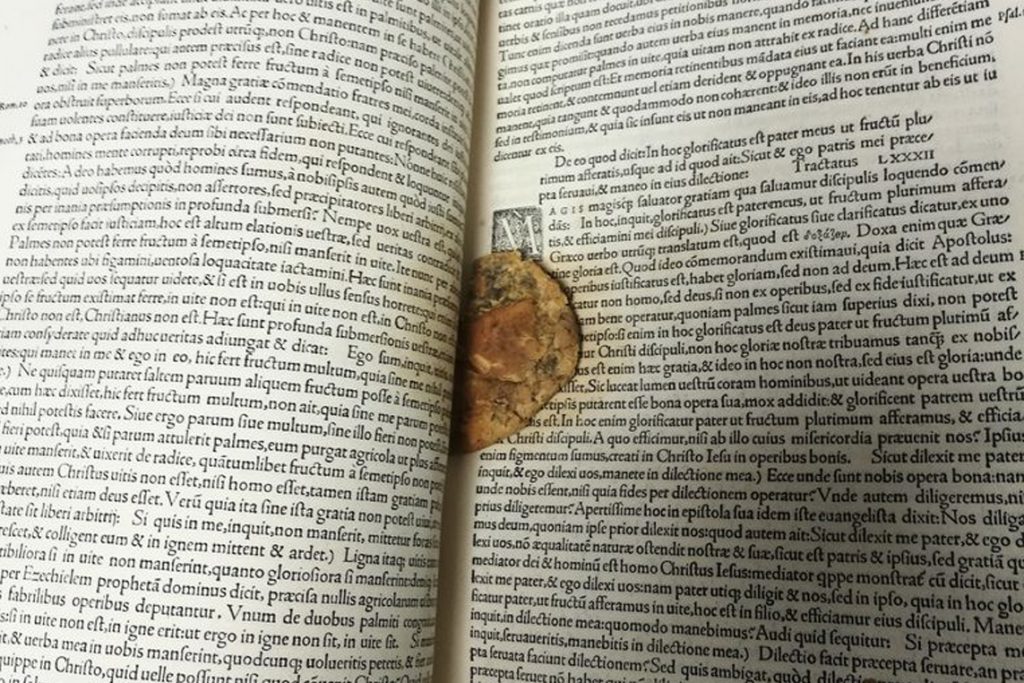 Half-eaten cookie found inside 1529 manuscript