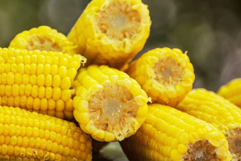 How to make corn on the cob perfectly every time