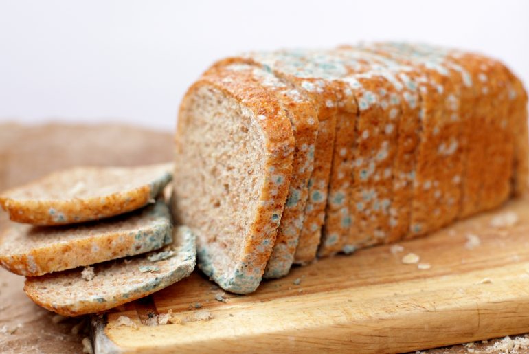 Is it safe to still eat the safe-looking parts of moldy bread?