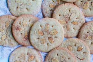 Sand dollar shark week cookies - sugar cookies