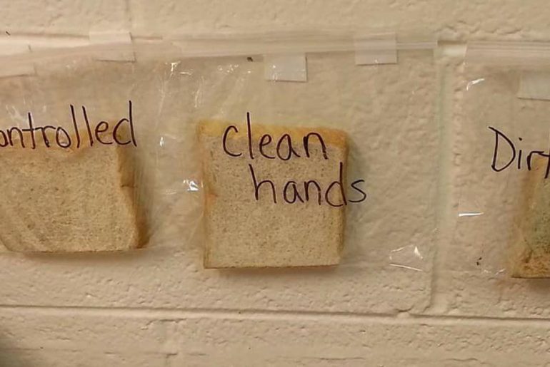 A teacher successfully shows why hand washing is so important.