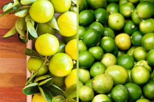 What's the difference between limes and key limes