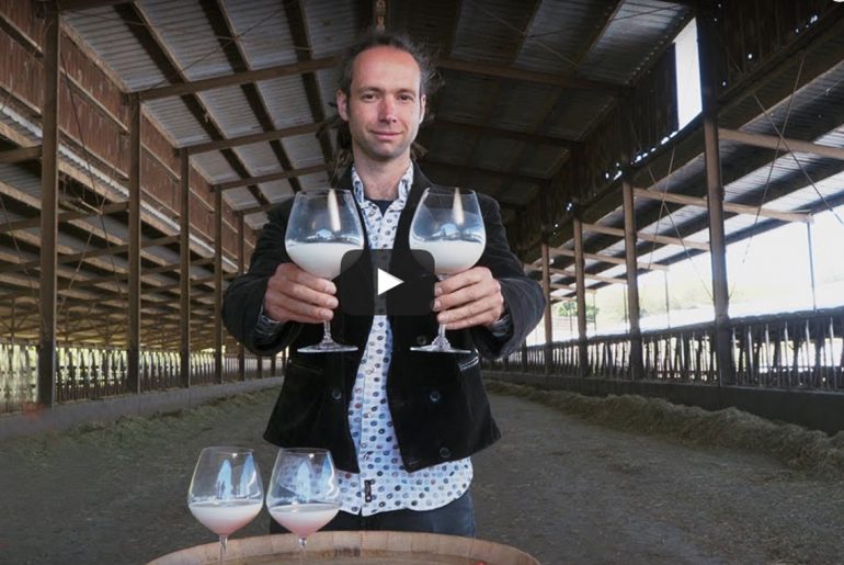 Meet the world's first milk sommelier by Everybody Craves